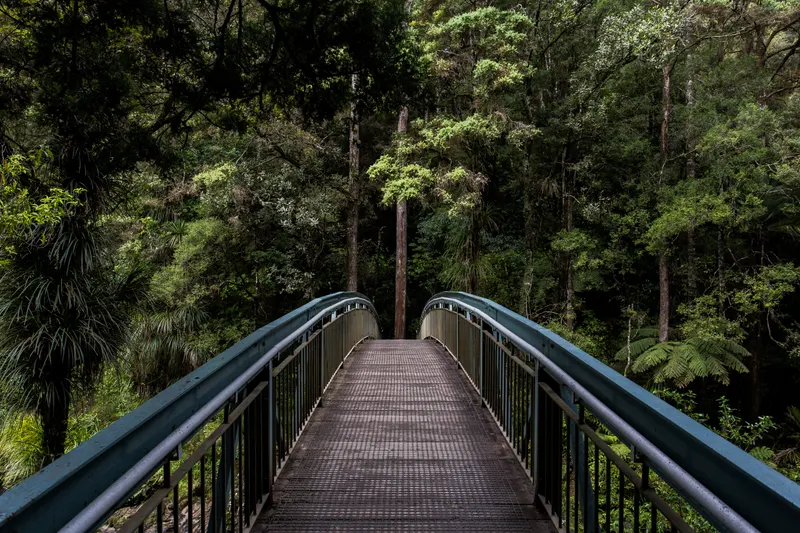 Holzbrücke im Wald